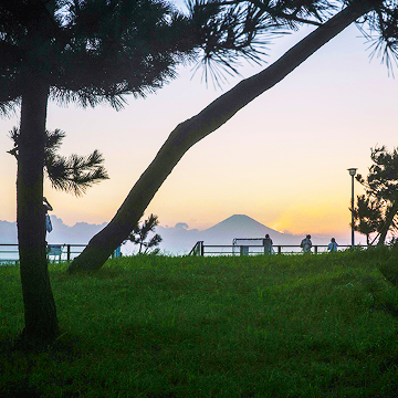 【The Canvas Hayama Park】葉山町の環境保全活動・The Canvas Hayama Parkの環境への取り組み