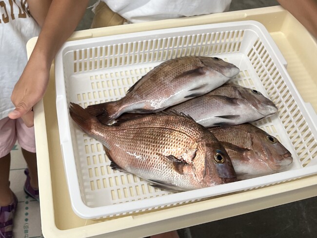 【熱海市網代】釣った魚を“送料無料”で、ご自宅までお届け！筏釣りの東海 × 010 STATION FISH 網代店のコラボプランが、10/21(土)新登場。「釣り」をきっかけに、漁村に賑わいを！