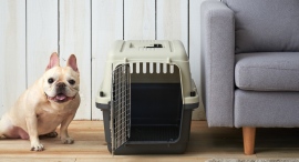 高品質ペット用ケージ「ペットケンネル・ファーストクラス」の専用ドレインボード(すのこ)にL80サイズが登場!10月25日から取り扱い開始 高品質ペット用ケージ「ペットケンネル・ファーストクラス」の専用ドレインボード(すのこ)にL80サイズが登場!10月25日から取り扱い開始