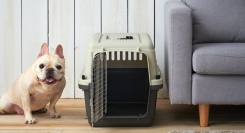 高品質ペット用ケージ「ペットケンネル・ファーストクラス」の専用ドレインボード（すのこ）にL80サイズが登場！10月25日から取り扱い開始