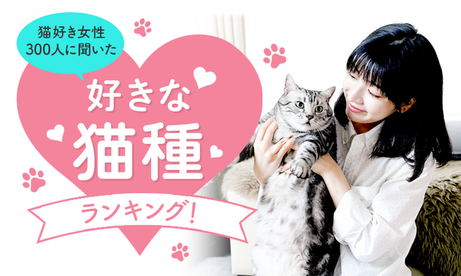 【猫好き女性300人に聞いた】好きな猫種ランキング!2023年最新版