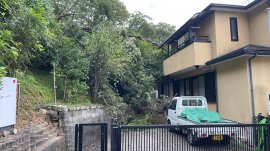 山の斜面で起きた倒木の様子 山の斜面で起きた倒木の様子
