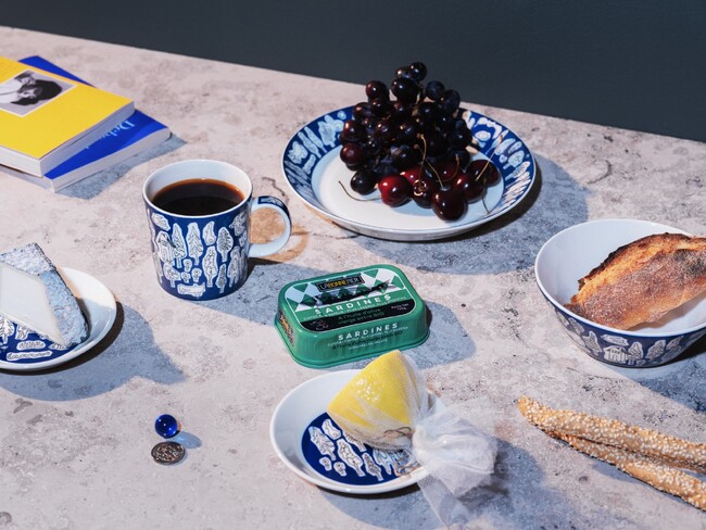 【イッタラ】新作 Iittala × mina perhonen 