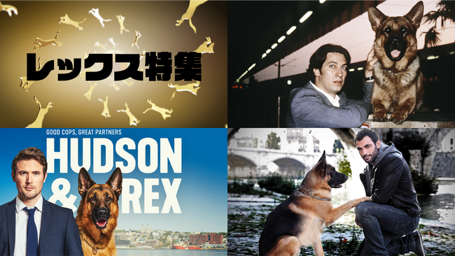 11月1日 “犬の日” にアクションチャンネル＆ミステリーチャンネル共同編成『レックス特集』