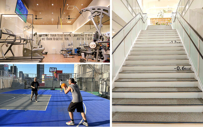 ココネ株式会社、スポーツ庁が推進する「Sport in Life コンソーシアム」に加盟