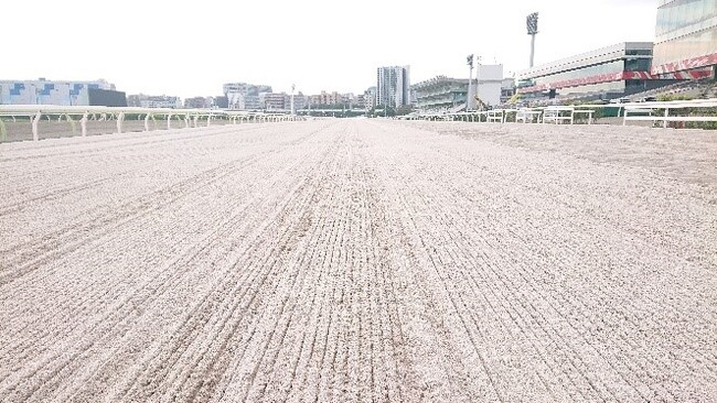 大井競馬場本馬場の砂の入れ替えが完了！より安全な馬場を目指しオーストラリア産“白い砂”を導入