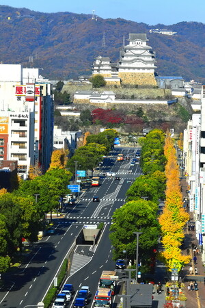 姫路城世界遺産登録３０周年記念事業（１１月開催分）のお知らせ