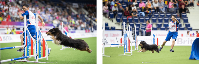 Green Field TENNNOJI の佐々木トレーナー、アジリティーワールドチャンピオンシップ2023で、世界TOP10入り