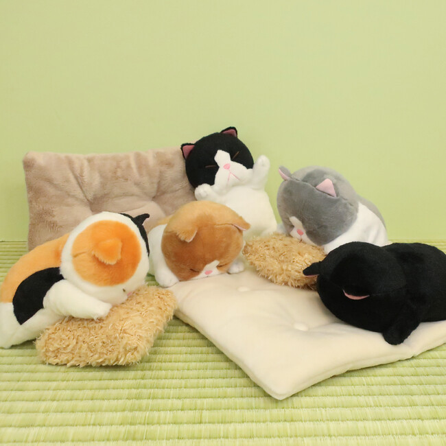 寝姿がまるで棒のような猫「ぼうみたいなねこ」に、ごめん寝ポーズをした可愛いぬいぐるみが新登場！