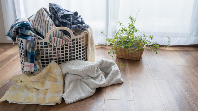 猛暑の影響で洗濯する回数は増えた？回数が増えたことによる家のスペース問題調査