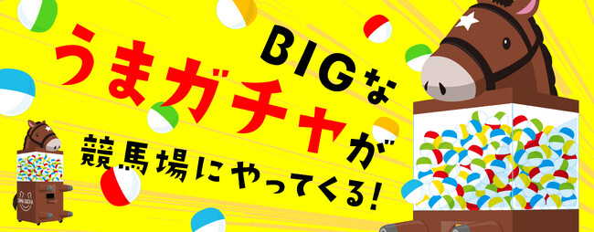 船橋ケイバ 第８回開催〔１１月２７日（月）～１２月１日（金）〕
