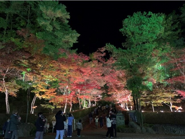 ライトアップされた幻想的な紅葉と柏崎の食を堪能「赤坂山紅葉ダイニングカフェ＆ディナー」を開催