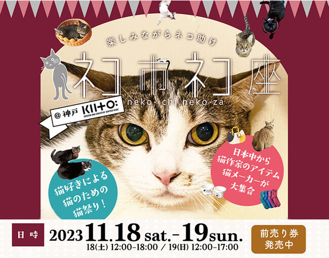 ５年ぶり！関西最大級ホゴネコイベント！行列のできる伝説の猫祭りが神戸に帰ってくる！猫好きによる猫のための猫が助かる猫祭り「ネコ市ネコ座@神戸」11月18日19日に開催！前売りチケット販売開始！