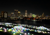 「横浜港フォトジェニックイルミネーション2023」11月1日(水)より横浜港大さん橋屋上にて開催