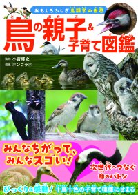 みんなちがって、みんなスゴい！ 『鳥の親子&子育て図鑑』が11月2日発売
