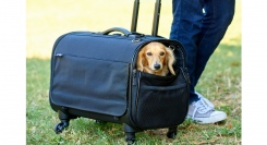 ロングセラーのペットキャリー商品・ブロッサムリュックキャリー ミニチュアダックス専用がリニューアル！小型犬や、狭い場所が好きな愛猫にも