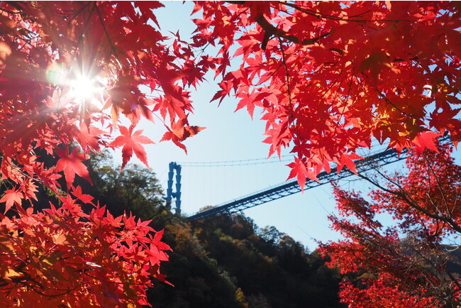 【常陸太田市】第34回竜神峡紅葉まつりを開催します！