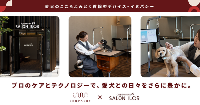 イヌパシー(R)︎とGREEN DOG、麻布台ヒルズにて、世界初のペットサロンサービスの提供を発表！