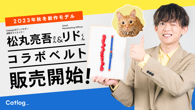 Catlog(R)︎ Belt 2023秋冬新作モデル！公式アンバサダー松丸亮吾さん&ご愛猫リド様とコラボした、待望のシュシュ型「リドレッド」および「リドラツートン」を数量限定販売ᗢᘏᓗ