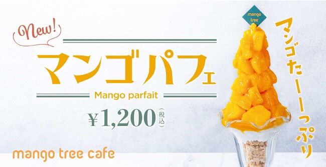 【マンゴたーーっぷり！】 マンゴツリーカフェに新スイーツ「マンゴパフェ」が登場