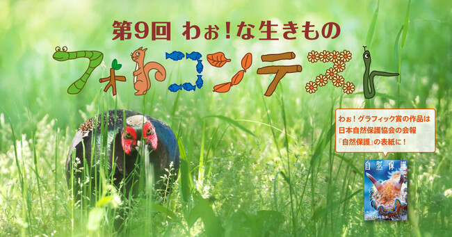 「第９回わぉ！な生きものフォトコンテスト」募集開始
