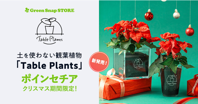 【GreenSnap】クリスマス限定！土を使わない観葉植物、Table Plantsシリーズに「ポインセチア」が期間限定で登場
