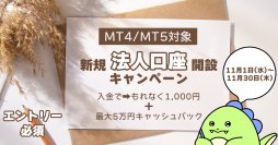 【11月】新規法人口座開設キャンペーン！(MT4・MT5対象)