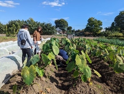 【群馬/高崎】つながる農園にて 畑でお楽しみ会 を開催します