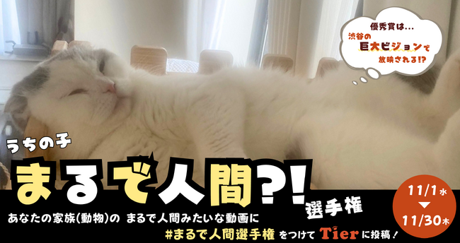 渋谷・宮益坂の巨大ビジョンでうちの子が放映される！動物専門SNS『Tier』で「うちの子まるで人間?!選手権」開催！