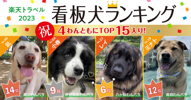 「楽天トラベル」発表の2023年「看板犬ランキング」にてわんわんパラダイスの看板犬が4頭揃ってTOP15入りいたしました！