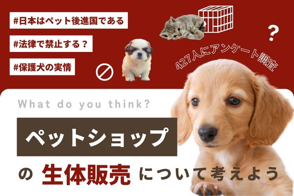 ペットショップの生体販売は禁止すべき？「強制的になくすしかない」の声も 【犬好き・猫好き427人アンケート】