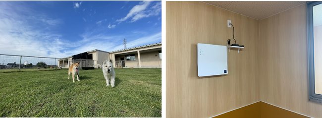 老犬・老猫のケア施設「あにまるケアハウス」にカルテックの光触媒除菌脱臭機が導入されました