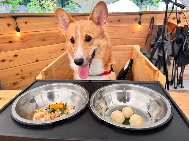 最高のリトリートを体験できる THE FIVE RIVERS FINE GLAMPING 群馬 白沢　愛犬と共に最高のディナーを！ペットフーディスト監修「わんご飯」の提供開始