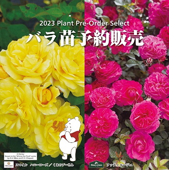 コメリオリジナル商品や、新商品も多数ラインナップ！「2023年バラ苗予約販売サービス」！好評受付中
