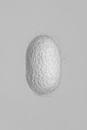 第22回（2020年度）三木淳賞受賞作家新作展　飯沼珠実写真展「機械と心 ―白くて小さな建築をめぐり」 を開催