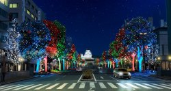Himeji大手前通りイルミネーションの点灯初日は11月22日！「いい夫婦の日」を記念して心温まる夫婦のエピソードを11月14日まで大募集
