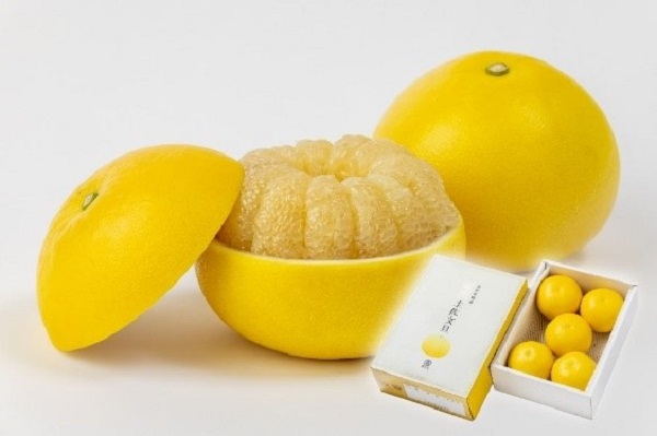 高知県の“おいしい”が“お客様送料負担なし”！産地直送通販サイト「ＪＡタウン」で「国産農畜産物のお客様送料負担なしキャンペーン」、「水産物もお客様送料負担なしキャンペーン」を開催中！