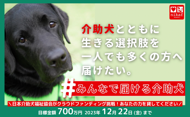 介助犬の減少が止まらない。崩壊寸前の補助金制度の現実。2017年のピーク時から24%も減少した介助犬実働数をクラウドファンディングを活用して現状打開！市民の力で今年はプラス2頭の育成を目指す。