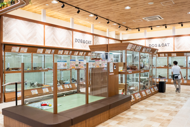 【ペットの専門店コジマ】ニトリモール相模原店が移転オープンしました