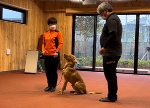 犬のじどうかん　POOCH PALにカルテック光触媒除菌脱臭機が設置されました