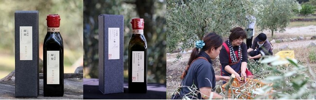 人の手で摘むからこそできる上品な味わい　品種の違いに着目し搾った、今だけのおいしさ　「小豆島産 緑果オリーブオイル」「小豆島産 アルベキーナオリーブオイル」