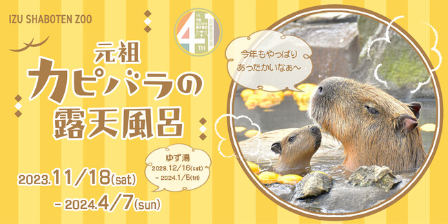 この冬もほっこり癒されます♪伊豆の冬の風物詩「元祖カピバラの露天風呂」が2023年11月18日（土）からスタート！