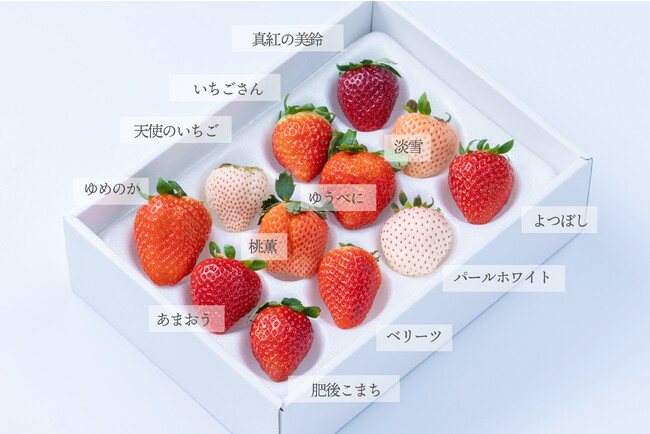 数量限定!「いちご12種食べ比べ」予約受付開始