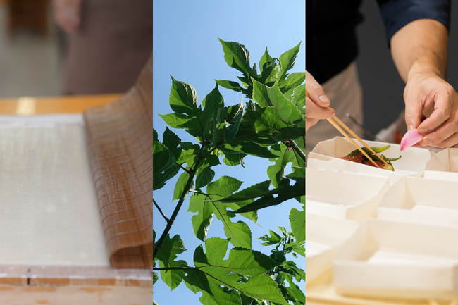 「和紙のふるさと」で、スーパーフードを食す！和紙の原料・楮を使った創作料理の試食イベントを開催