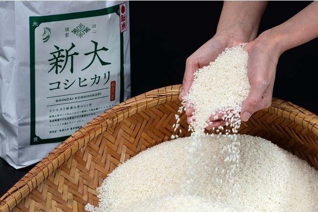 暑さに強い新しいコシヒカリ「新大コシヒカリ」は、「うまいもんドットコム」でお取り寄せ可能。20年に及ぶ新潟大学での研究開発から生まれた新品種のお米です