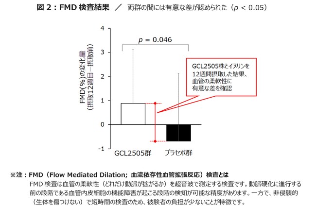 短鎖脂肪酸を多く生み出すビフィズス菌 Bifidobacterium animalis subsp. lactis GCL2505 とイヌリンによる 「血管の柔軟性」の改善効果を確認
