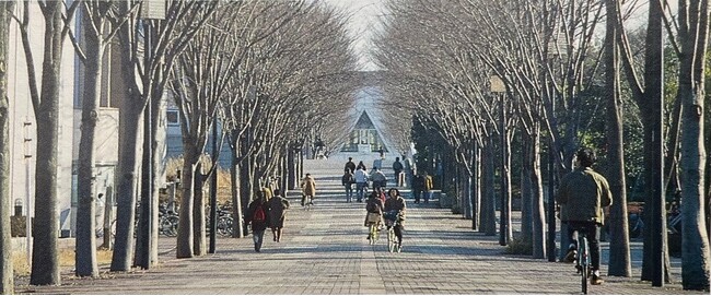 【茨城県内初】環境省「脱炭素先行地域」に選定されました