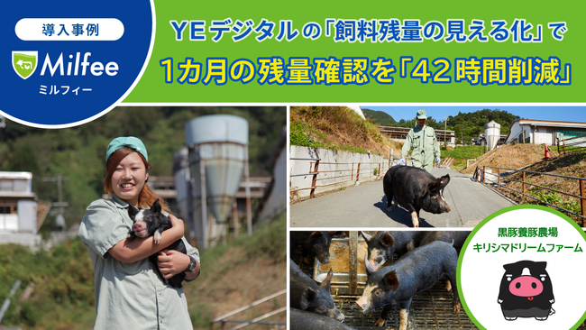 宮崎県の大規模黒豚農場、「飼料残量の見える化」で、1カ月の残量確認を『42時間削減!!』