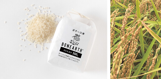 NIKKOが捨てられる食器から生まれた世界初の肥料「BONEARTH（ボナース）」で育てたコシヒカリ、「ボナース米」を販売。