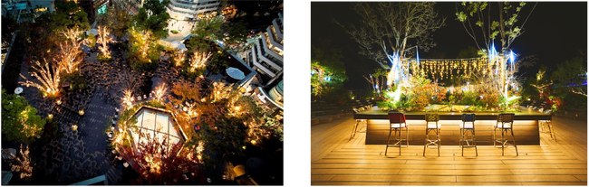 都心にありながら緑豊かな空間に「星の降る森」をイメージしたイルミネーション「OMOHARA Christmas illumination」開催
